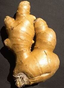 Ginger (Zingiber officinale)