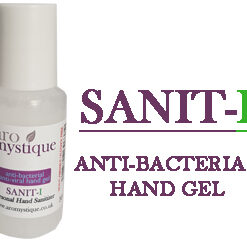 Sanit-I Anti Bacterial Hand Gel