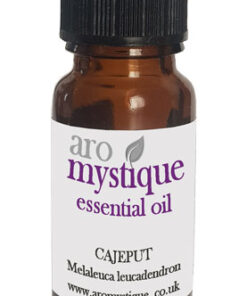 Cajeput-Melaleuca-leucadendron