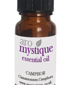 Camphor-Cinnamomum Camphora