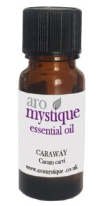 Caraway-Carum-carvi