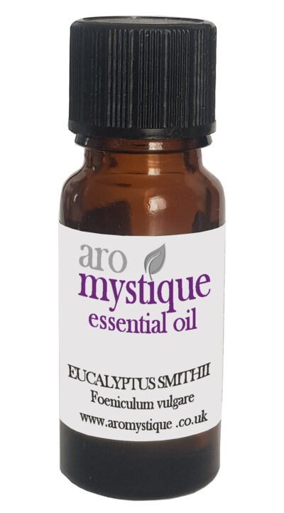 Eucalyptus Smithii 100ml