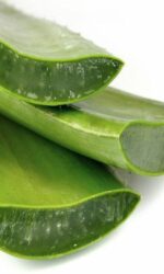 Aloe Vera Gel