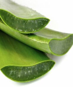 Aloe Vera Gel