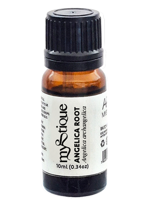 Angelica-Root-Angelica-archangelica-10ml-white-on-amber Angelica-Root-Angelica-archangelica